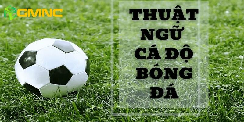 Các kèo cược cũng được sử dụng nhiều thuật ngữ cá độ bóng đá Các kèo cược cũng được sử dụng nhiều thuật ngữ cá độ bóng đá