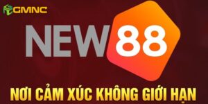 Những thông tin cơ bản về nhà cái NEW88