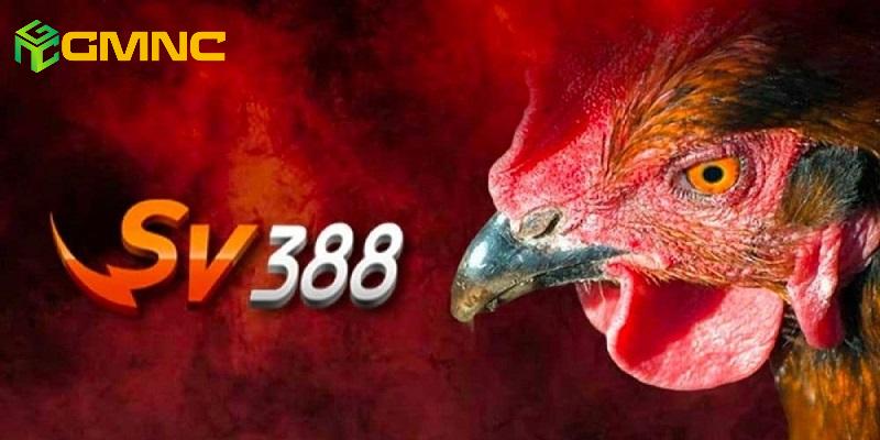 SV388 trang nhà cái đá gà thomo hàng đầu châu Á SV388 trang nhà cái đá gà thomo hàng đầu châu Á