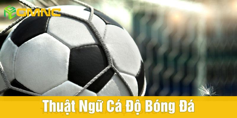 Top thuật ngữ cá độ bóng đá được sử dụng phổ biến Top thuật ngữ cá độ bóng đá được sử dụng phổ biến